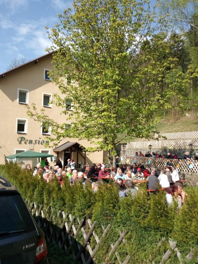 Pension Sommerfrische Ehrenfriedersdorf المظهر الخارجي الصورة